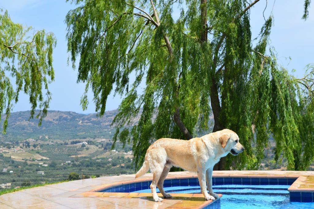 Aspalathos Villas Fílippos 외부 사진